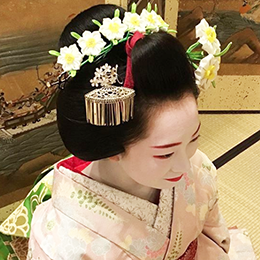 What is a Maiko