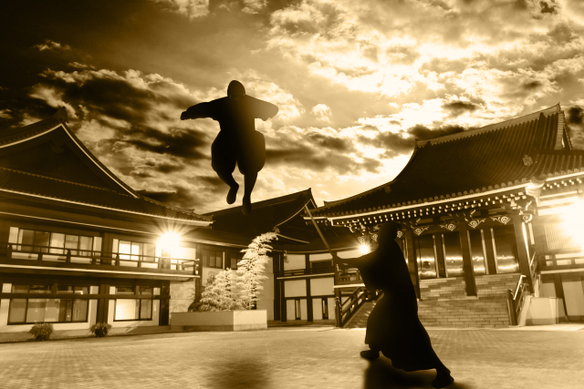 Ninja fighting Kyoto