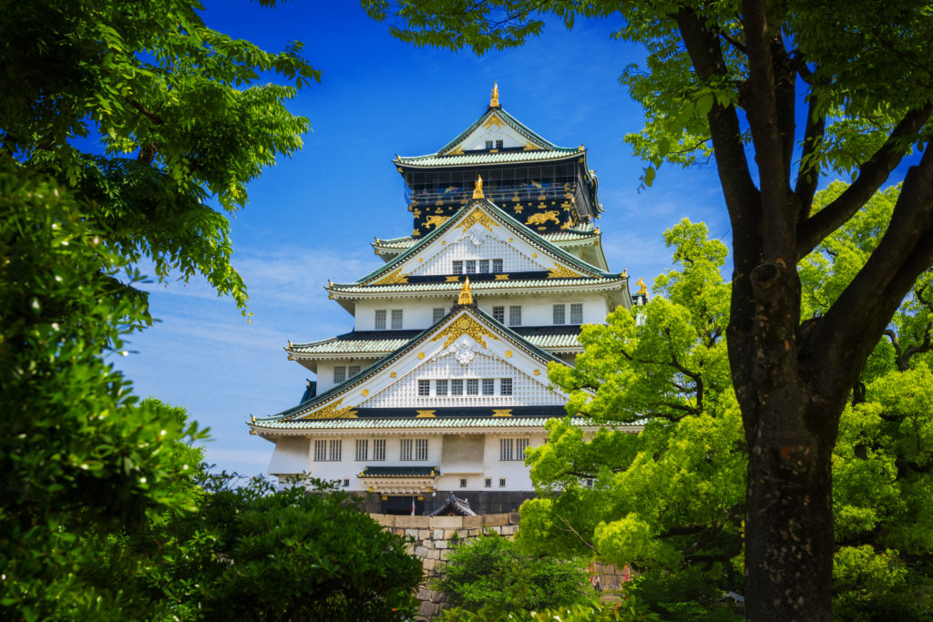 PRIVATE Mount Koya 1 Daily Tour (from Osaka)