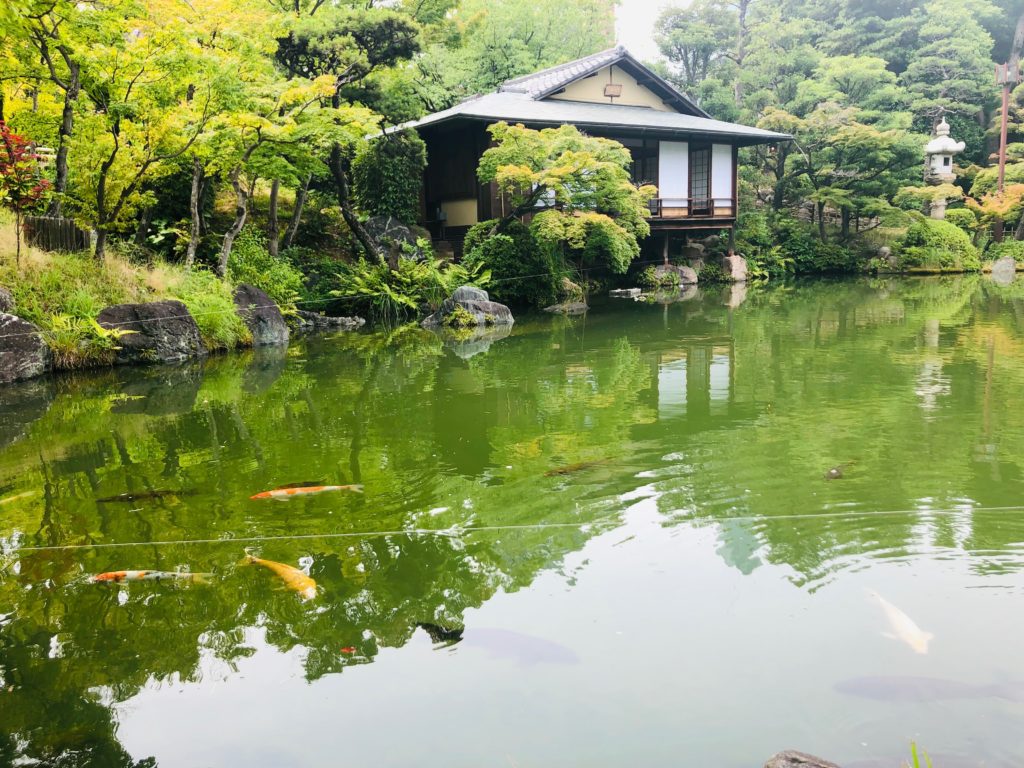 Kimono Tea Ceremony & Zen Garden Tour at Kobe Sorakuen