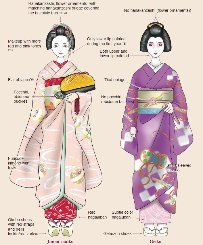 Differences between Maiko and Geisha and Geiko - Tea Ceremony Japan ...