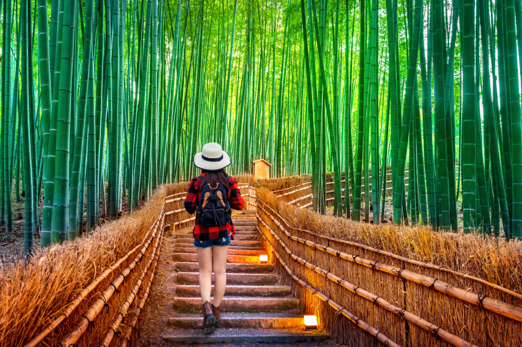 Arashiyama Bamboo Forest Kyoto