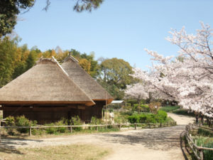 Hattori Ryokuchi Park