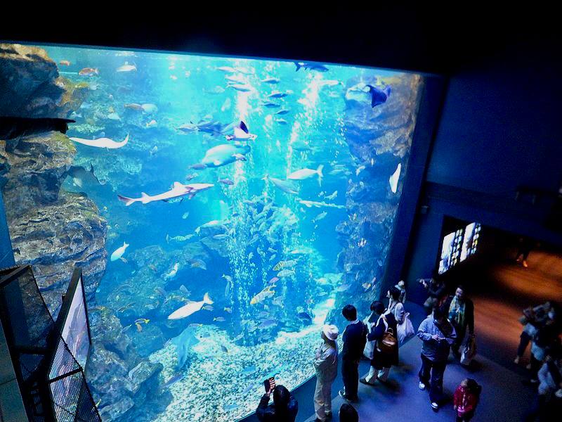 Kyoto Aquarium