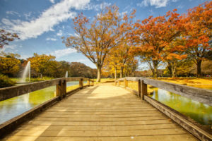 Yoyogi Park