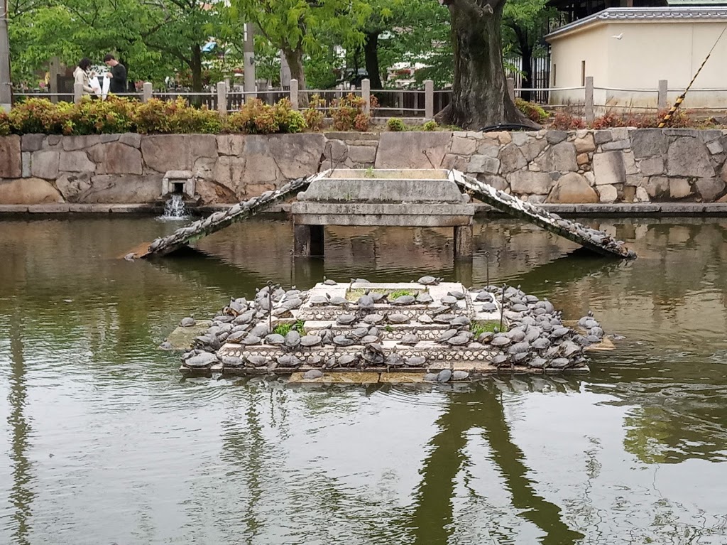 Gokuraku-jodo Garden