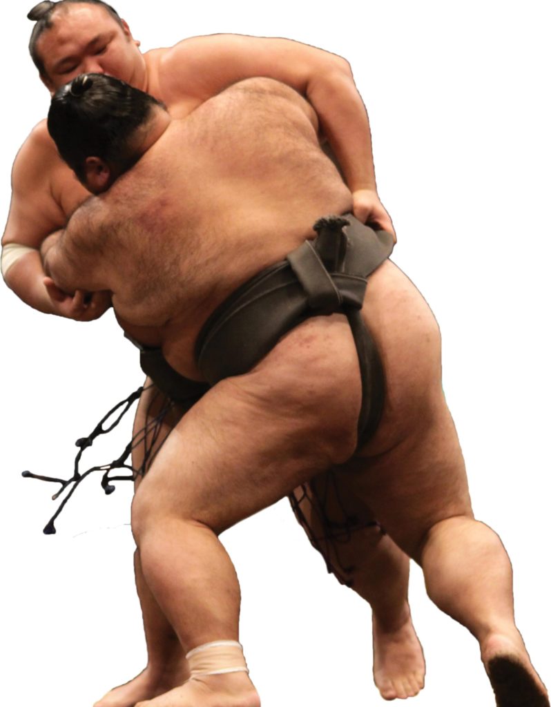Sumo Wrestling in Japan Facts, Meaning, Culture