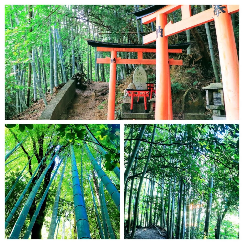Fushimi Inari Bamboo Forest