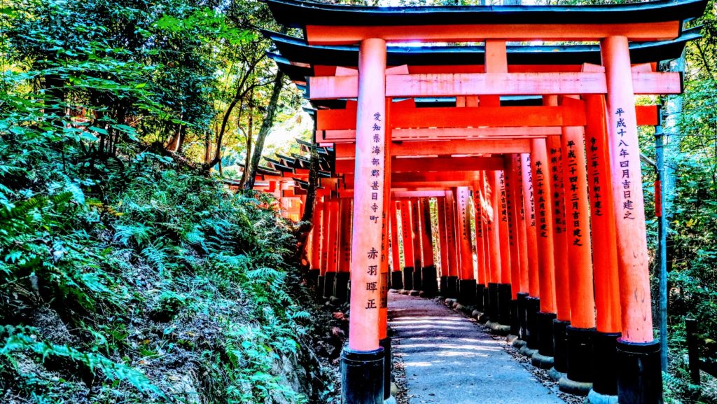 Torii Gates at Fushimi Inari Taisha