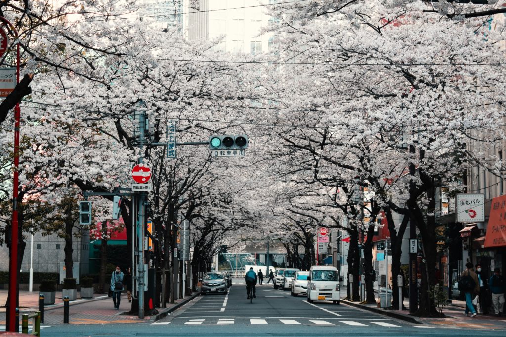 explore Tokyo explore Tokyo