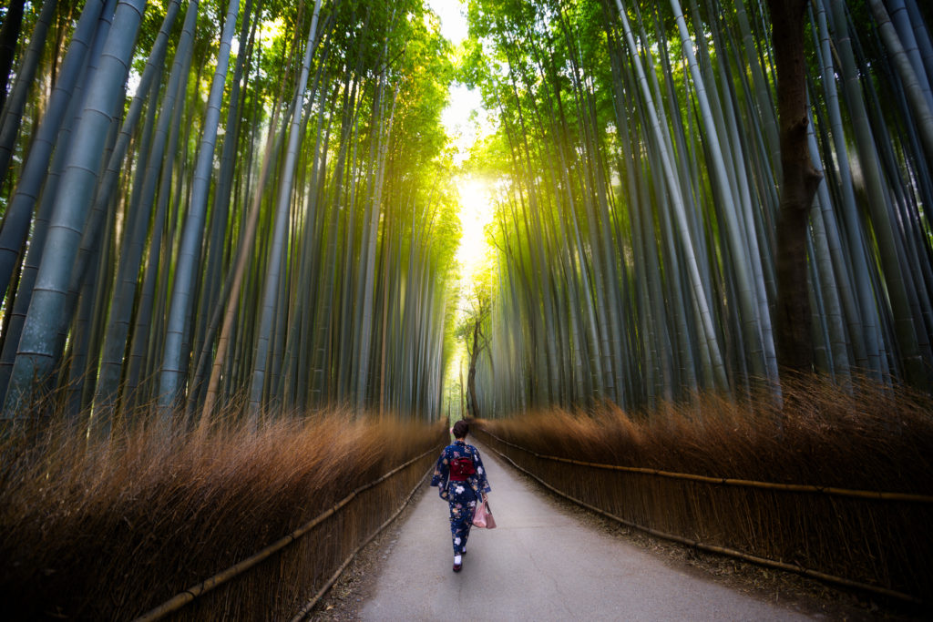 Arashiyama Arashiyama