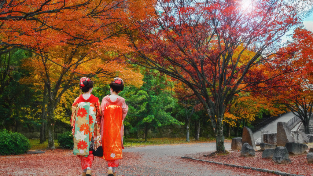 difference between maiko and geisha difference between maiko and geisha