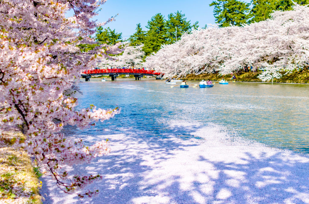 spring in japan