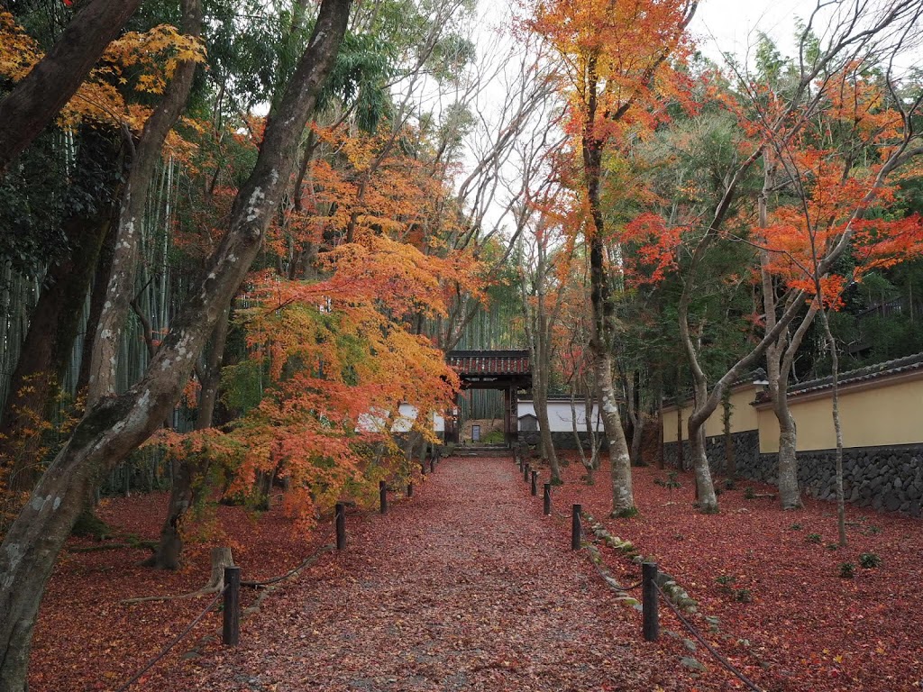 Jizo-in Temple