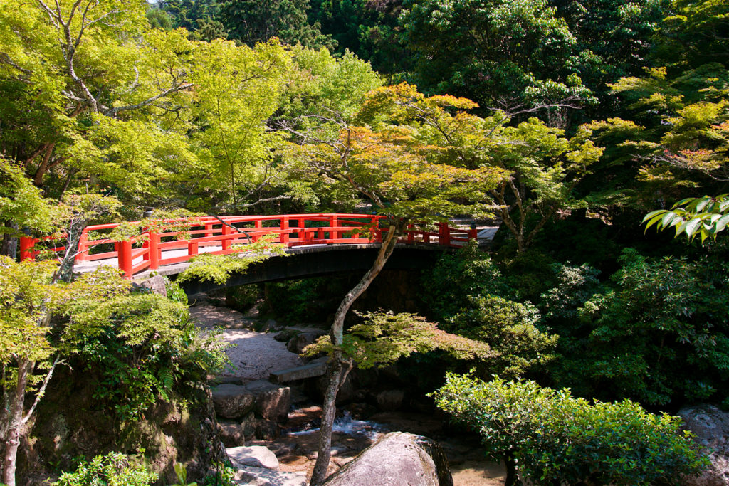 Momijidani Park Momijidani Park