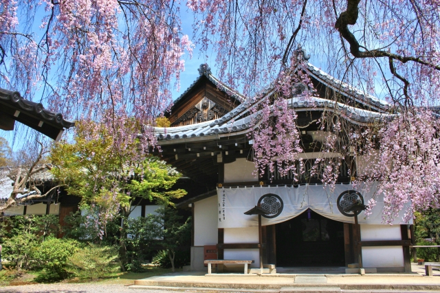 yogenin in Kyoto 養源院 京都